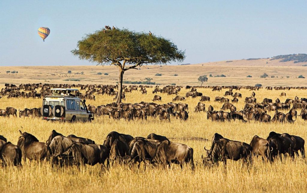 masai-mara-national-reserve